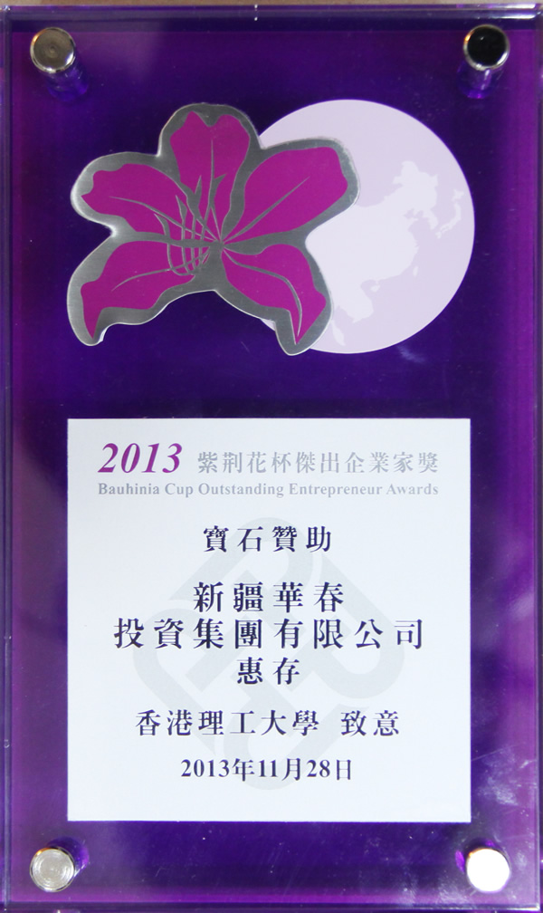 2013紫荊花杯杰出企業家